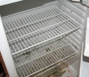 Clean Mold From Refrigerator