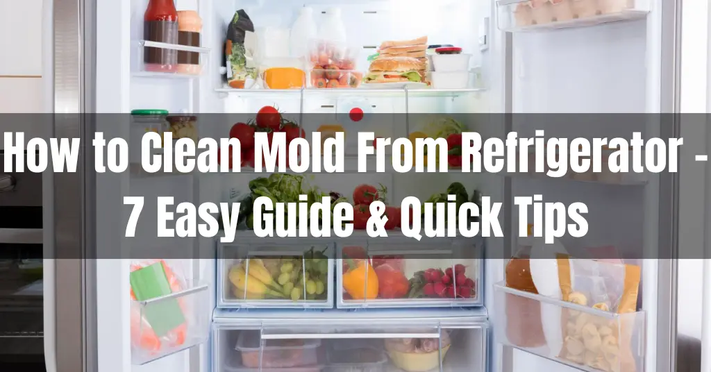 How to Clean Mold From Refrigerator – 7 Easy Guide & Quick Tips