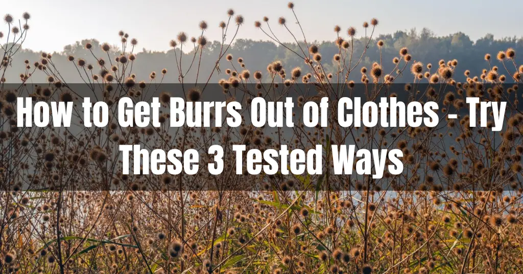 How to Get Burrs Out of Clothes - Try These 3 Tested Ways
