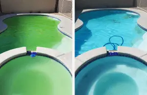 Remove Dead Algae From Pool Bottom