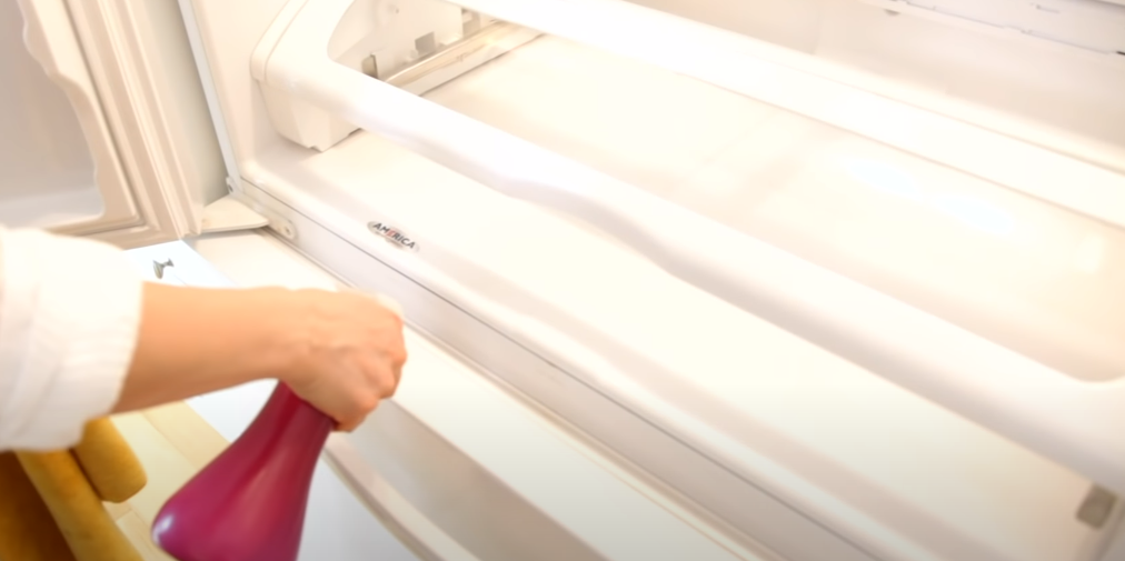 How to Clean Mold From Refrigerator 7 Easy Guide & Quick Tips