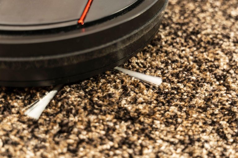 Does Roomba Work On Thick Carpet Thing You Should Know