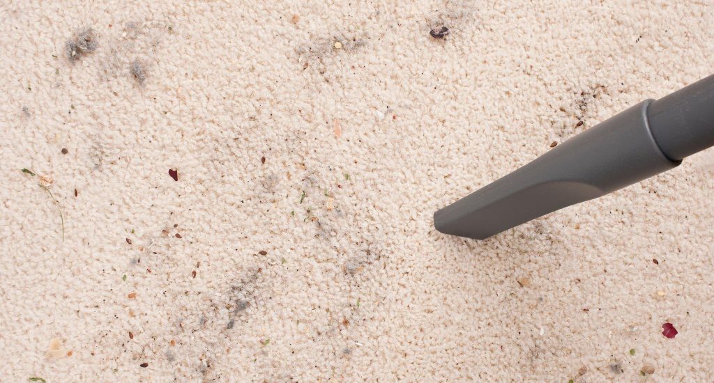 How to Get Ash Out of Carpet 5 Easy Steps You Should Know