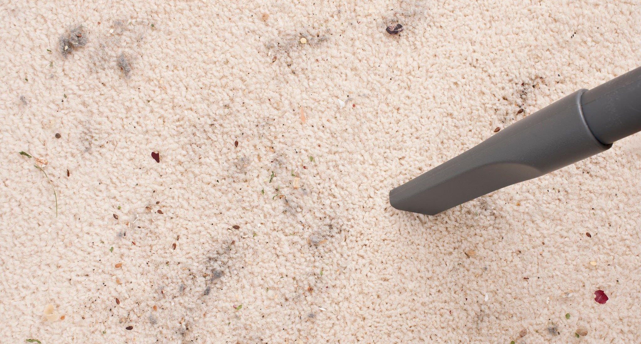 How to Get Ash Out of Carpet 5 Easy Steps You Should Know