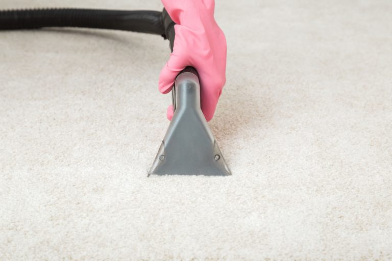 How to Dry Carpet After Cleaning in Winter 5 Easiest Ways