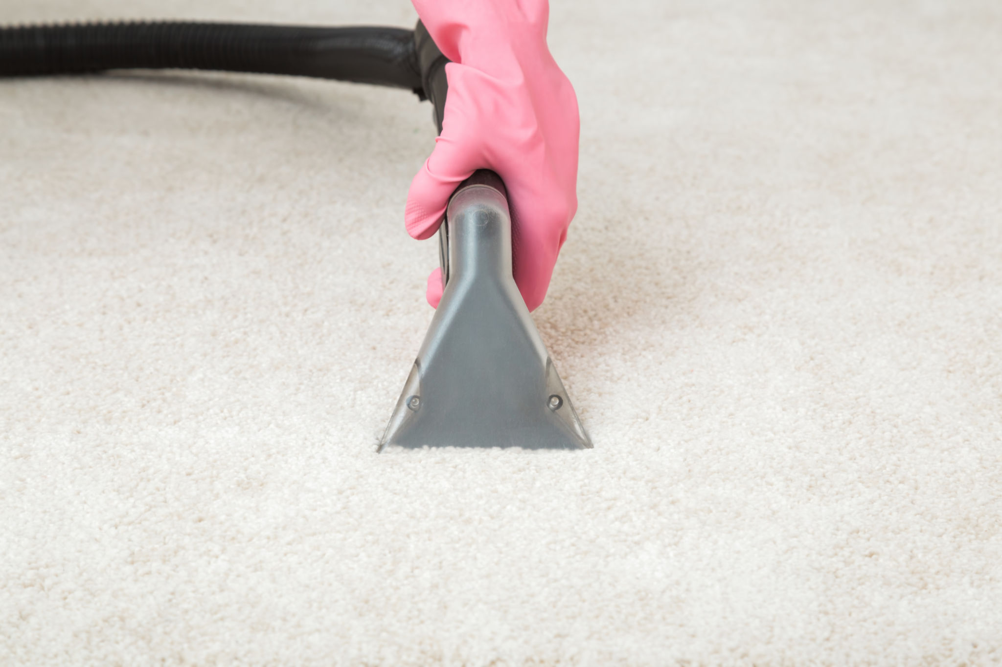 How to Dry Carpet After Cleaning in Winter 5 Easiest Ways