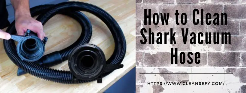 How to Clean Shark Vacuum Hose – 6 Easy & Simple Steps