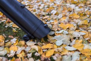 FAQ About Commercial Leaf Vacuum