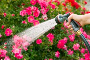 Remove Garden Hose from Pressure Washer
