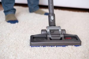 Factors to Consider Before Buying a Vacuum for fleas