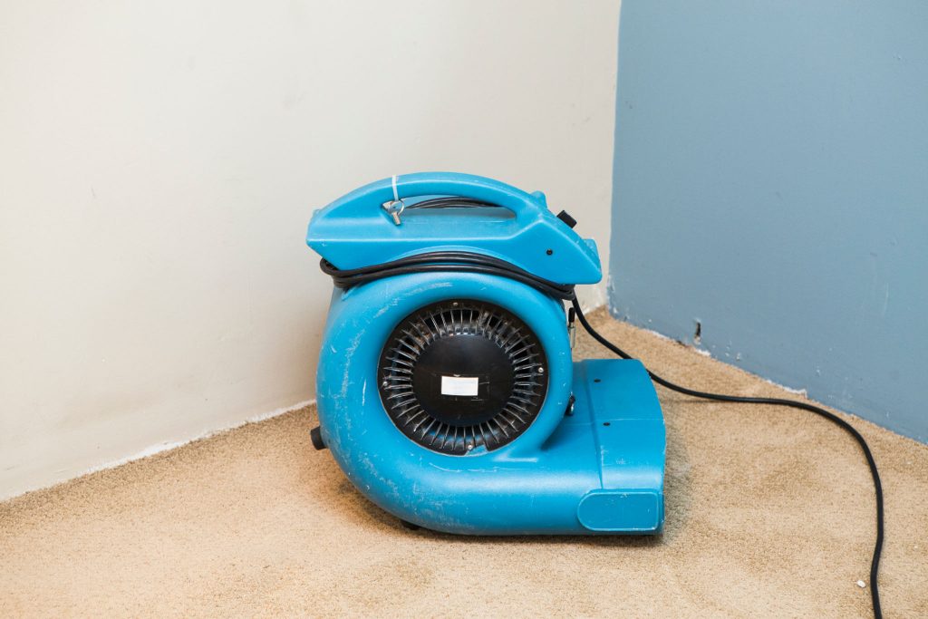 How Long Does It Take for Carpet to Dry? Quick Cleaning Tips