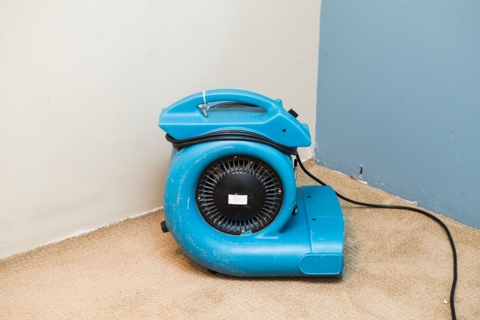 How Long Does It Take for Carpet to Dry? Quick Cleaning Tips