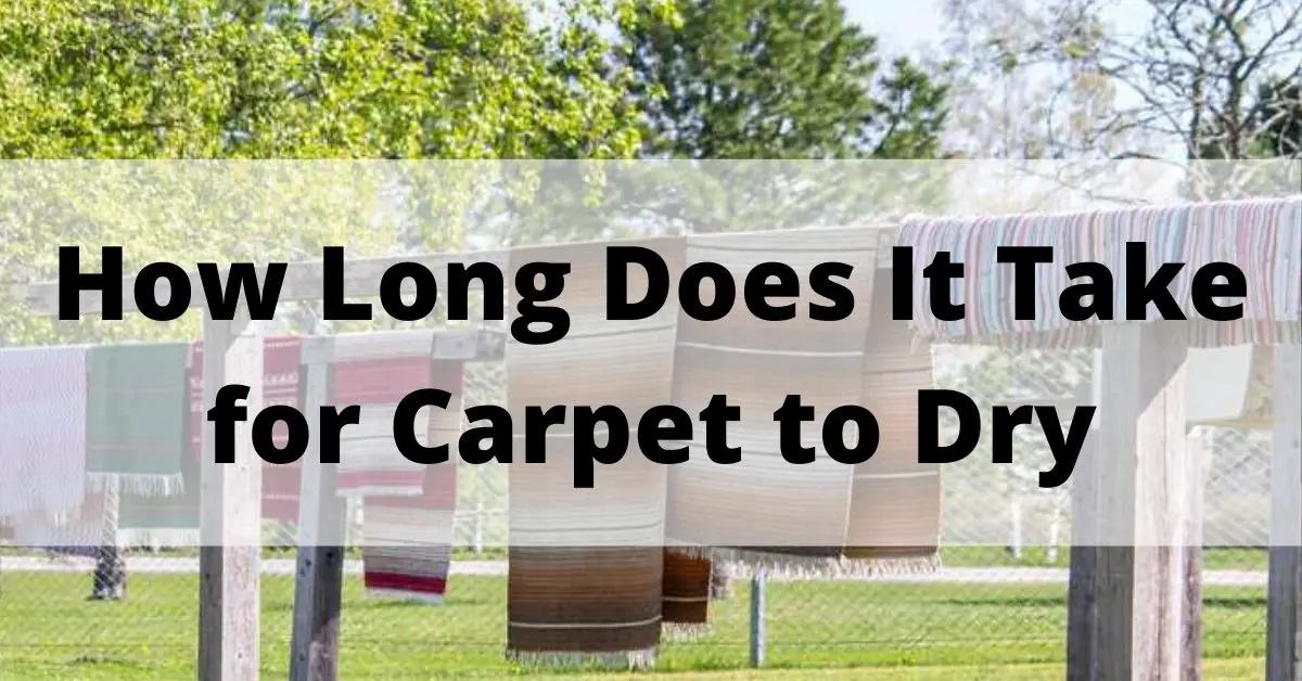 How Long Does It Take for Carpet to Dry