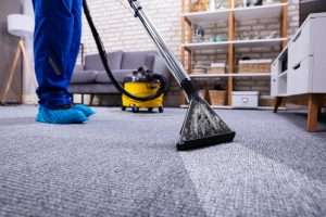 Why You Should Consider Professional Carpet Cleaning Services