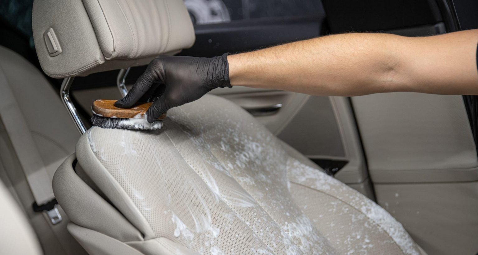 How to Clean Urine From Car Upholstery Proven & Tested Ways