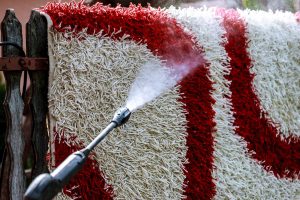FAQs About cleaning area rug with a pressure washer