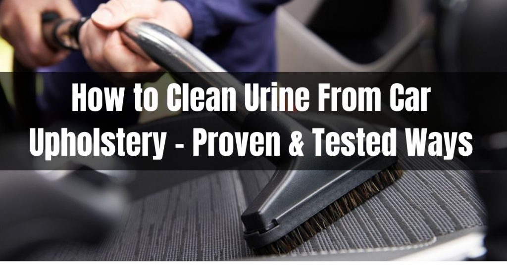 how to clean urine from car upholstery