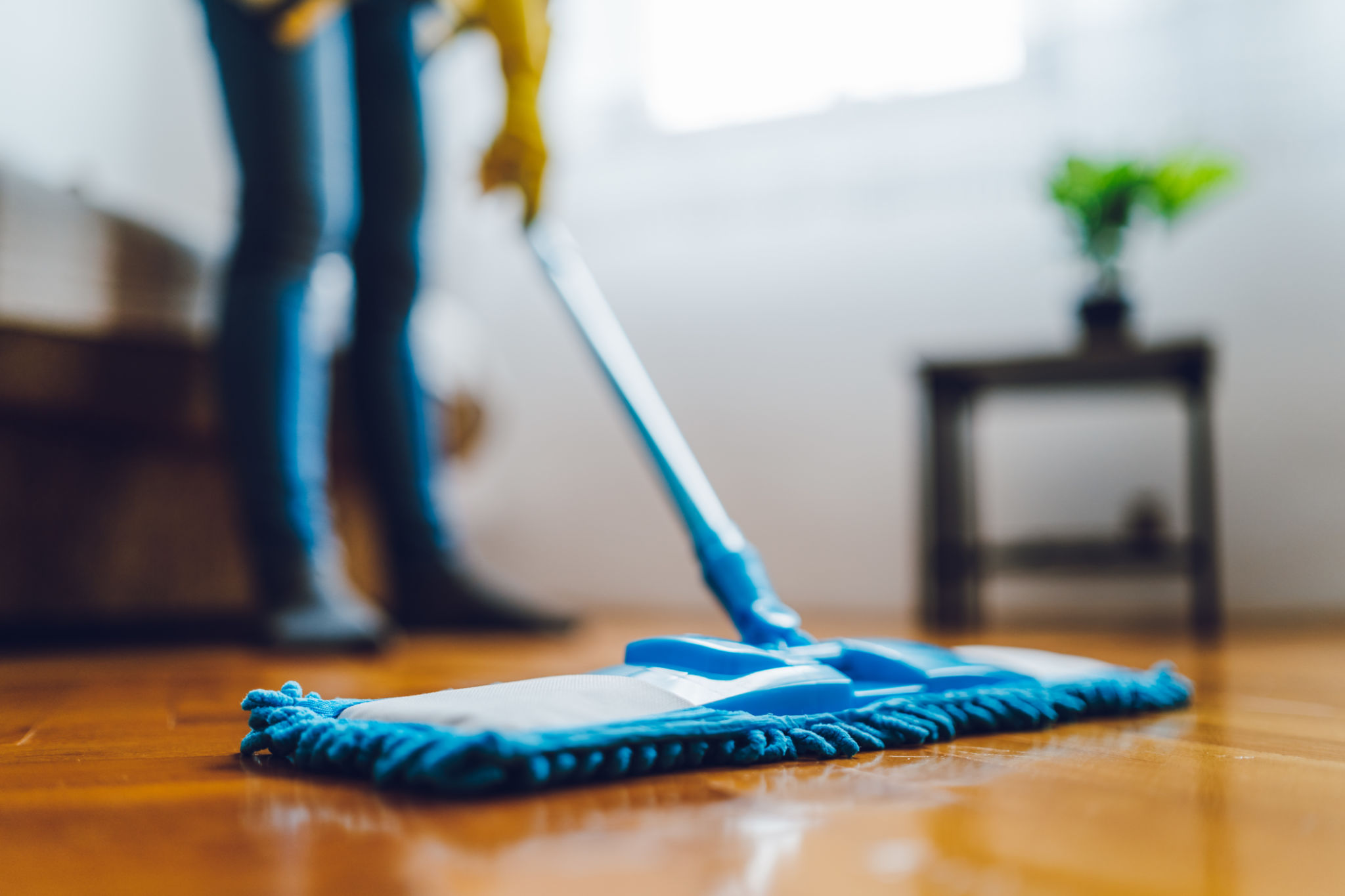 Top 7 Best Mop for Dog Hair Reviews & Buying Guides In 2022