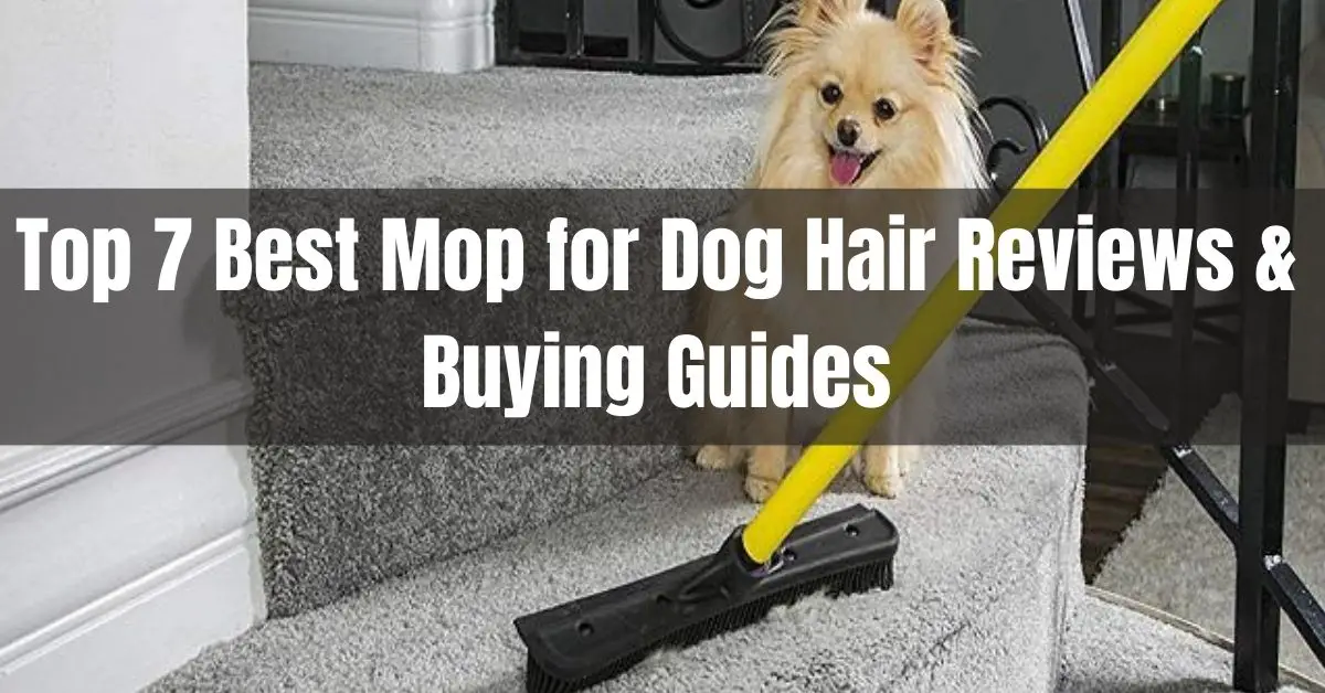 best mop for dog hair
