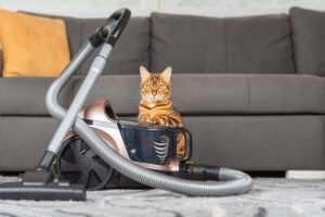 Vacuum Making High Pitched Noise