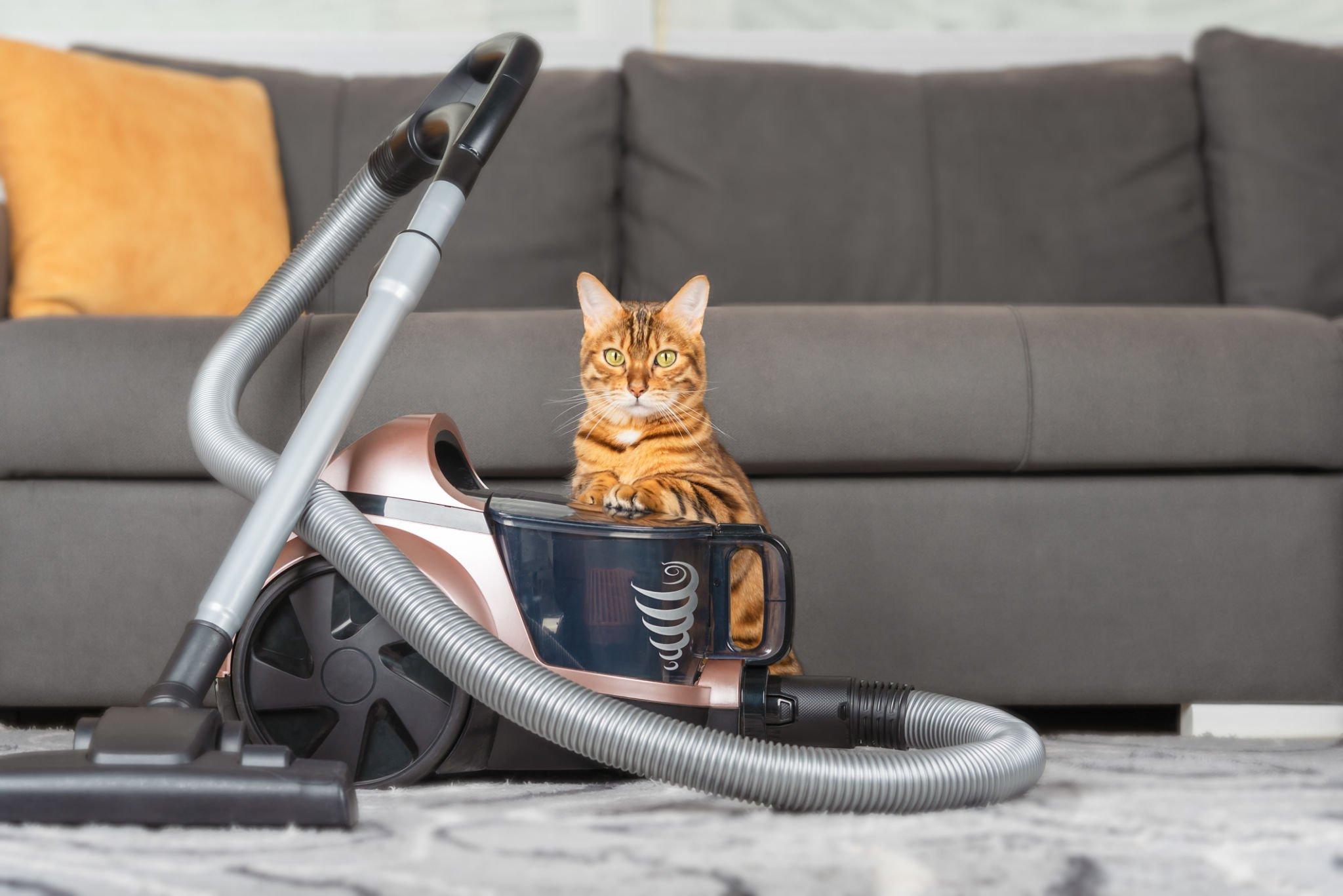 Why Are Vacuums So Loud Top 7 Reasons & Solutions