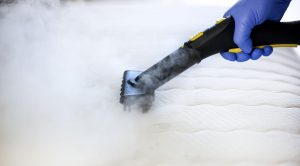 Can You Use a Carpet Cleaner on a Mattress?