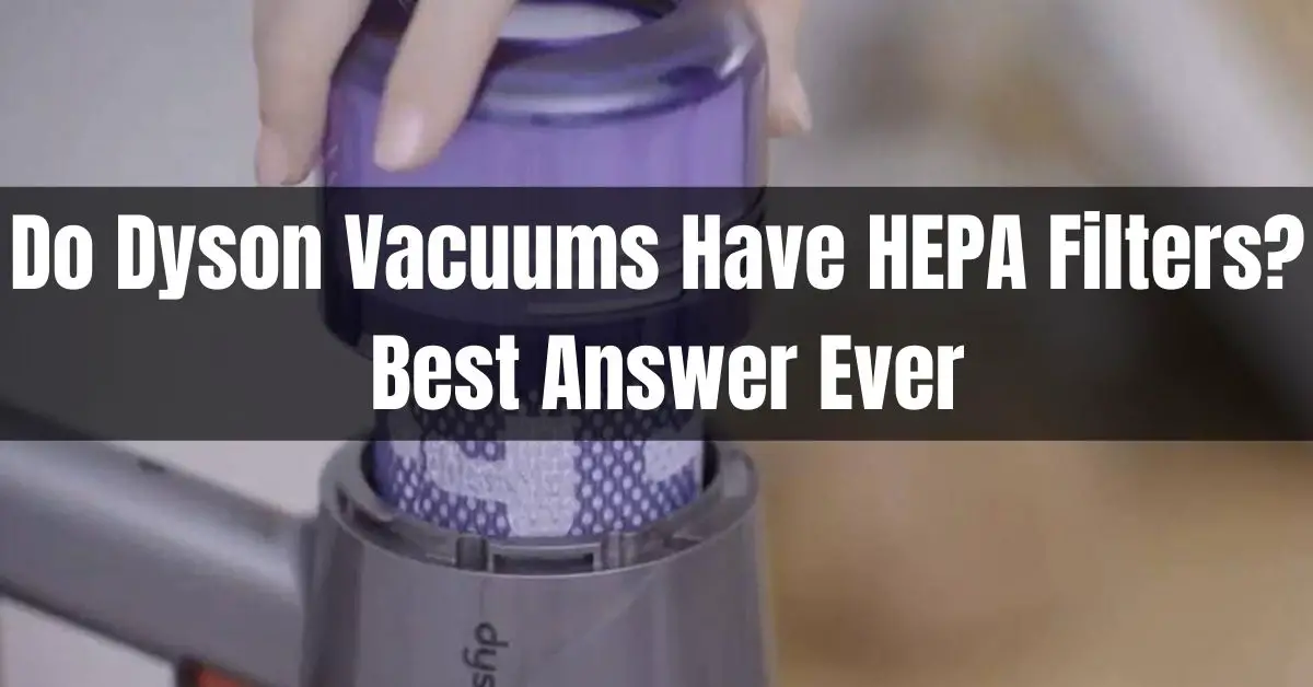 Do Dyson Vacuums Have HEPA Filters