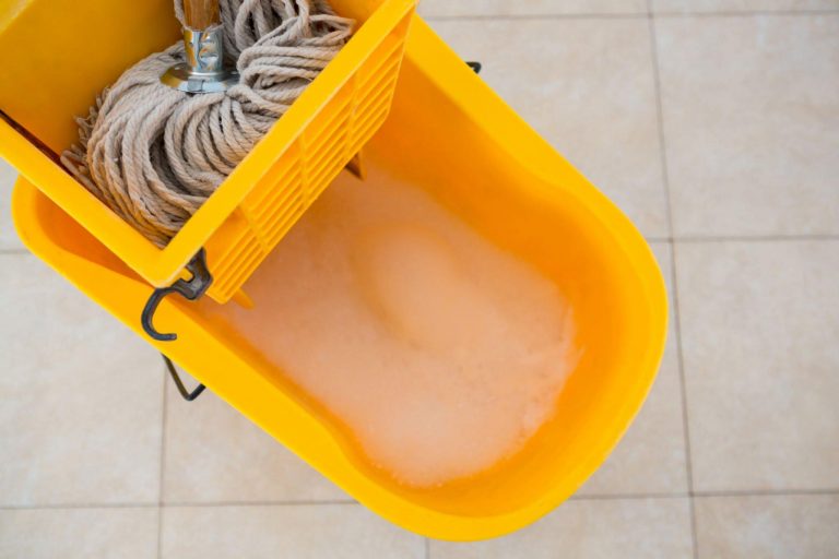 Where To Dump Mop Water Things That You Must Know