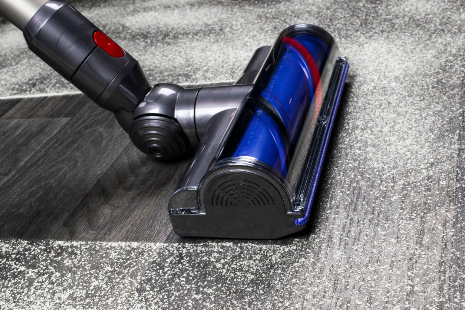 Can You Vacuum Rabbit Poop Top 3 Best Vacuum