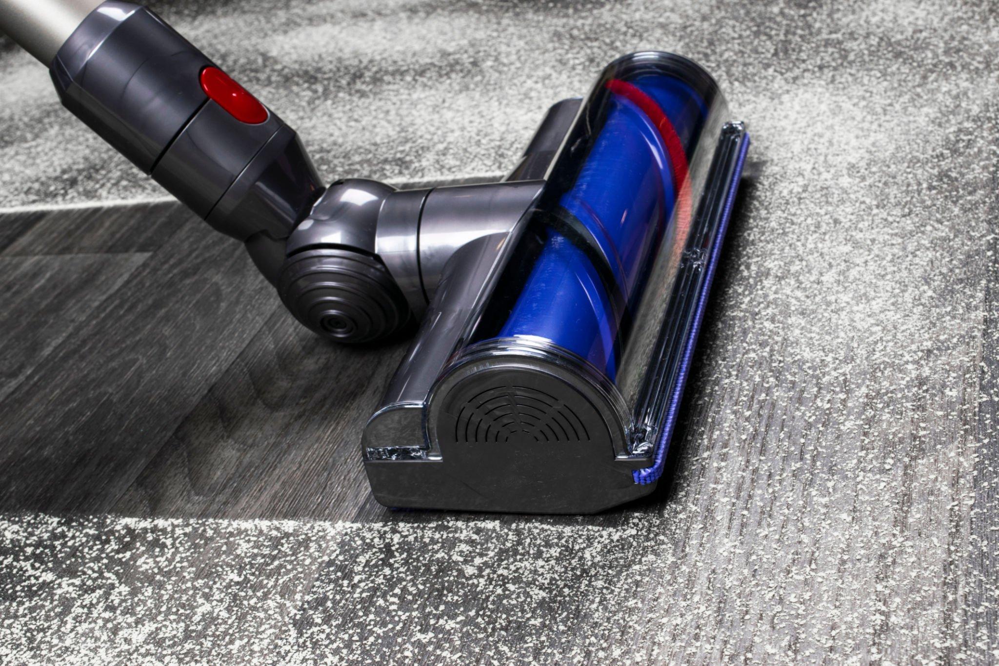Can You Vacuum Rabbit Poop Top 3 Best Vacuum