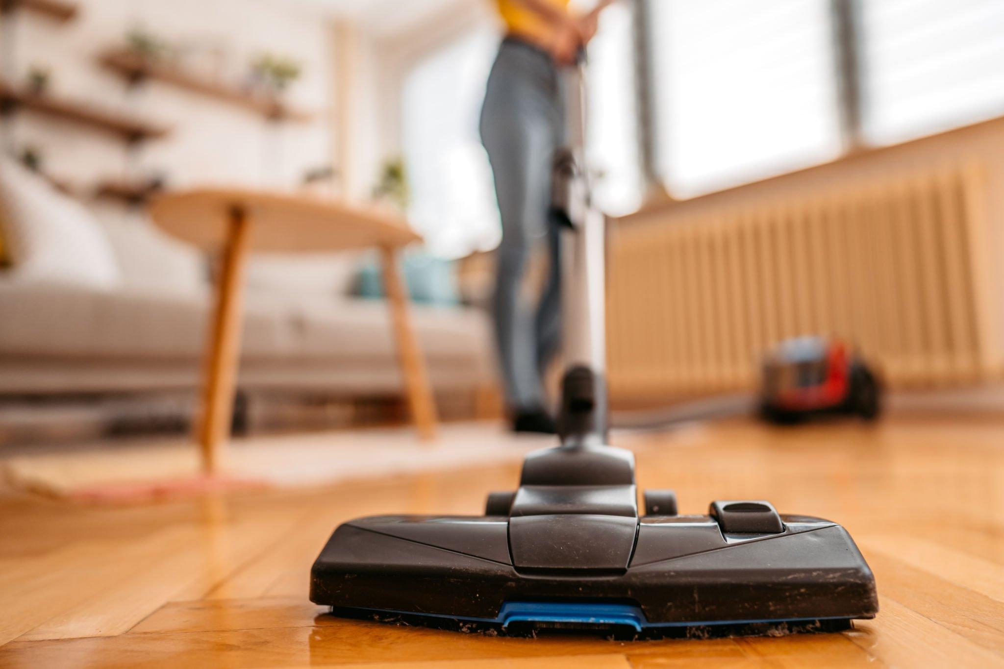 Can You Vacuum Rabbit Poop Top 3 Best Vacuum