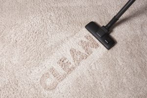 Vacuum For House Cleaning Business Reviews