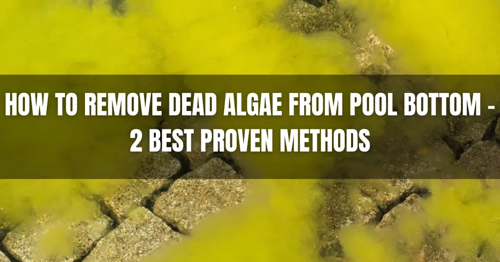 How to Remove Dead Algae From Pool Bottom